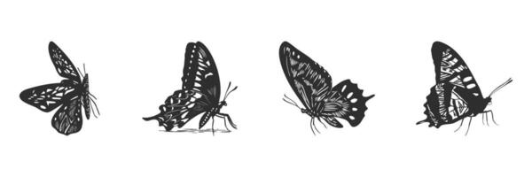 Butterfly Silhouettes In Profile View Set. Nature'S Elegance And Transformation Isolated Illustration Collection vector
