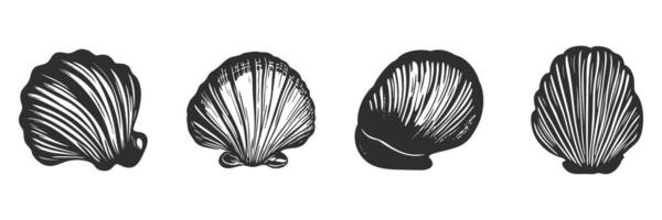 Seashell Illustrations Silhouette Set. Marine Life And Beach Decor Elements Isolated Illustration Collection vector