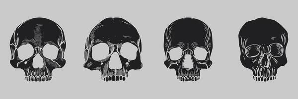 Skull Illustration Set. Artistic Skull Designs For Halloween And Gothic Themes. Isolated Illustration Collection vector