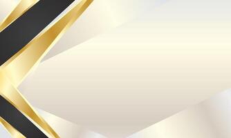 White certificate background with black and gold lines in the corners vector