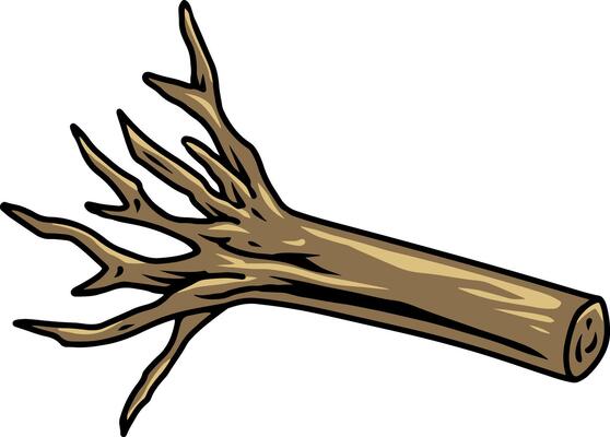 Detached Tree Branch