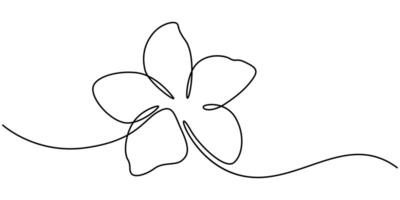Simple Minimalist Frangipani Flower Drawing in Continuous One Line Drawing Art Style vector