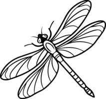 Line art dragonfly in clean black outline with symmetric wings on white minimalist background vector