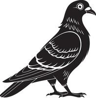 Side View of a Pigeon Silhouette Observing Quietly vector