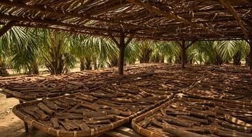Drying Spices Under Palm Roof with Sunlight and Natural Textures for Culinary Use photo