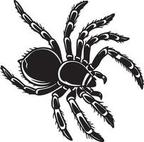 Spider silhouette in alert stance with legs raised, clean black design, strong lines and shape, no background, easy for microstock vector