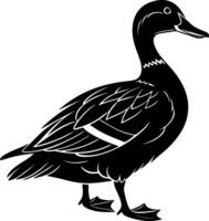 Duck silhouette with turned head in over-the-shoulder pose, clean black minimal shape on white background, perfect for stock design and tracing vector