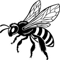 Airborne bee silhouette with transparent wings, black clean shape, easy for tracing and microstock-friendly concept vector