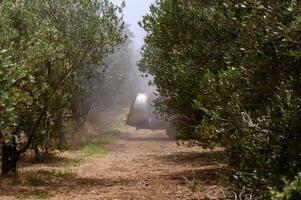 Modern farming in Cyprus a tractor sprays olive trees in a sunny orchard surrounded by Mediterranean landscape photo