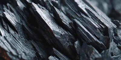Close up detailed texture of black charcoal wood photo