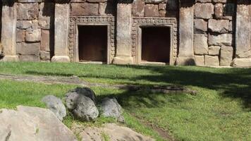 Sumatran Tiger walking in the ruins of a old temple - Panthera tigris sumatrae video