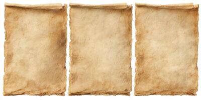 Aged blank parchment paper sheets in a row photo