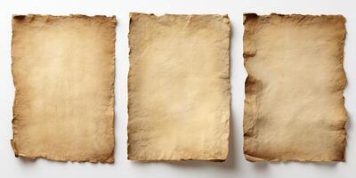 Three aged vintage blank parchment paper sheets with burnt edges photo
