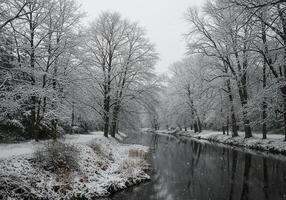 A captivating winter scene unfolds with snow-dusted trees mirrored in the still river's surface. photo