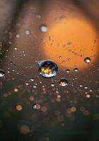 Close-up of glistening water droplets on a spider web, catching the sunlight. photo