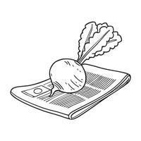 A turnip lying over a piece of newspaper wrapping vector