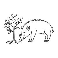A boar sniffing the ground near tree roots with short tusks vector