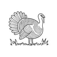 A turkey with half-open wings on grassy field vector