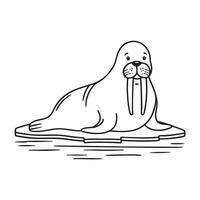 A walrus lying with curled tusks on an icy shore vector