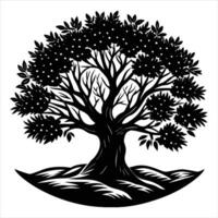olive tree surrounded by fog at dawn vector