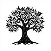 Ancient Olive Tree Stock vector
