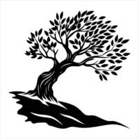 windswept olive tree on cliffside vector