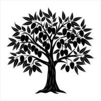 olive tree with ripe olives hanging low vector