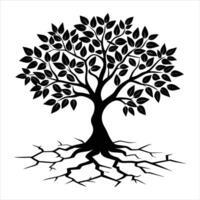 olive tree bursting through cracked vector