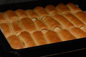 Golden homemade Parker House rolls baking in the oven. Soft, buttery, and freshly risen buns in a warm kitchen setting. photo