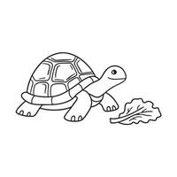 A turtle slowly walking by scattered lettuce leaf vector