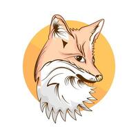 hand draw Illustration of a fox head in a circle on a white background vector