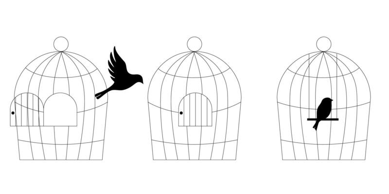 Doodle line art illustration of bird cages set hand drawn sketch collection of metal cages for birds different shapes and sizes pet house decor