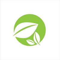 green leaves with three leaflets on a round background vector