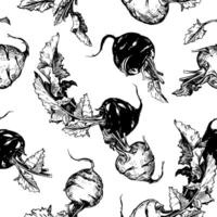 Seamless pattern with kohlrabi. drawing in engraving style. Cabbage background. Round head and leaves of German turnip linear sketch in ink. vector