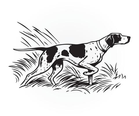 pointer dog illustration, a black and white drawing of a dog running through the grass