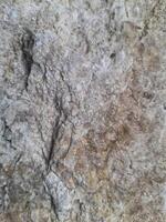 Close-up of a rough textured rock surface showing natural cracks, earthy tones, and mineral patterns formed by geological processes. photo