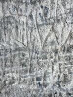 A stone texture that conveys ancient age through a pattern formed over the centuries. photo