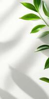 Minimalist abstract background with pastel green leaves and soft shadows for modern design photo