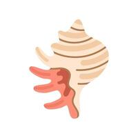 Curved conch shell with coral-like growth on side vector