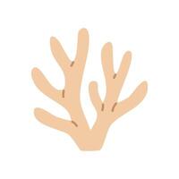 Minimal coral branch in white color with soft tips vector