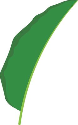 Exotic Tropical Leaves in Flat Design.