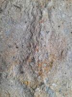 A close-up image of a textured stone surface, showcasing natural patterns, cracks, and earthy tones in shades of gray and brown. photo