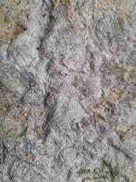 Close-up of a textured rock surface with shades of gray and brown, displaying natural cracks, layers, and mineral formations photo