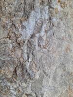 A close-up image of a textured stone surface, showcasing natural patterns, cracks, and earthy tones in shades of gray and brown photo