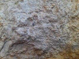 Rough stone surface with mixed beige and gray tones, showing natural erosion, uneven texture, and layered mineral patterns. photo