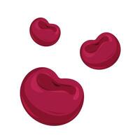three red cherries different sizes, summer vector