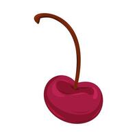 Bright cherry with a smooth surface and slender stem on a white background vector