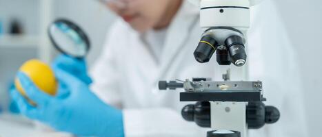 Scientist checking chemical food residues in laboratory. Control experts inspect quality of fruits, vegetables. lab, hazards, ROHs, find prohibited substances, contaminate, Microscope, Microbiologist photo