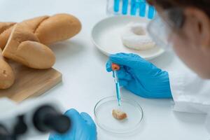 Scientist check chemical and fungus in laboratory. Control experts inspect the concentration of chemical residues. hazards, standard. prohibited substances, Microbiologist photo
