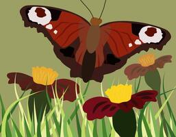 Peacock eye butterfly on flowers in flat design style. Modern graphics with natural palette. vector